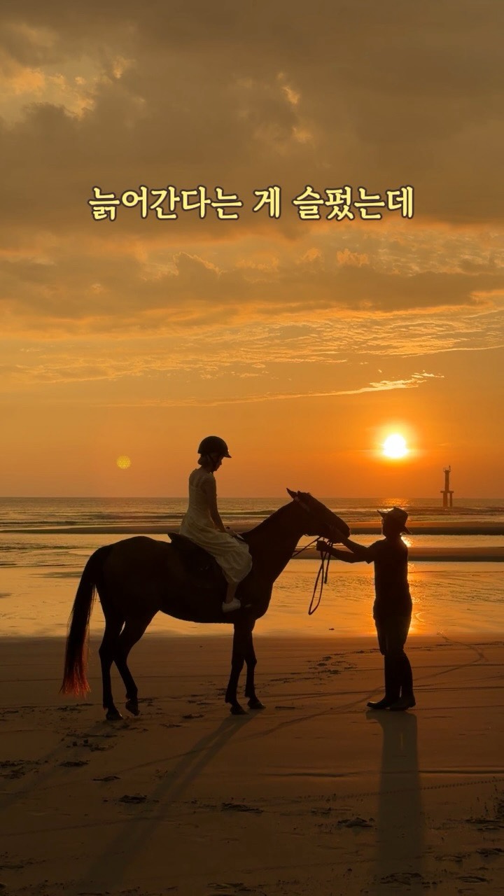 토마토 당근 수프