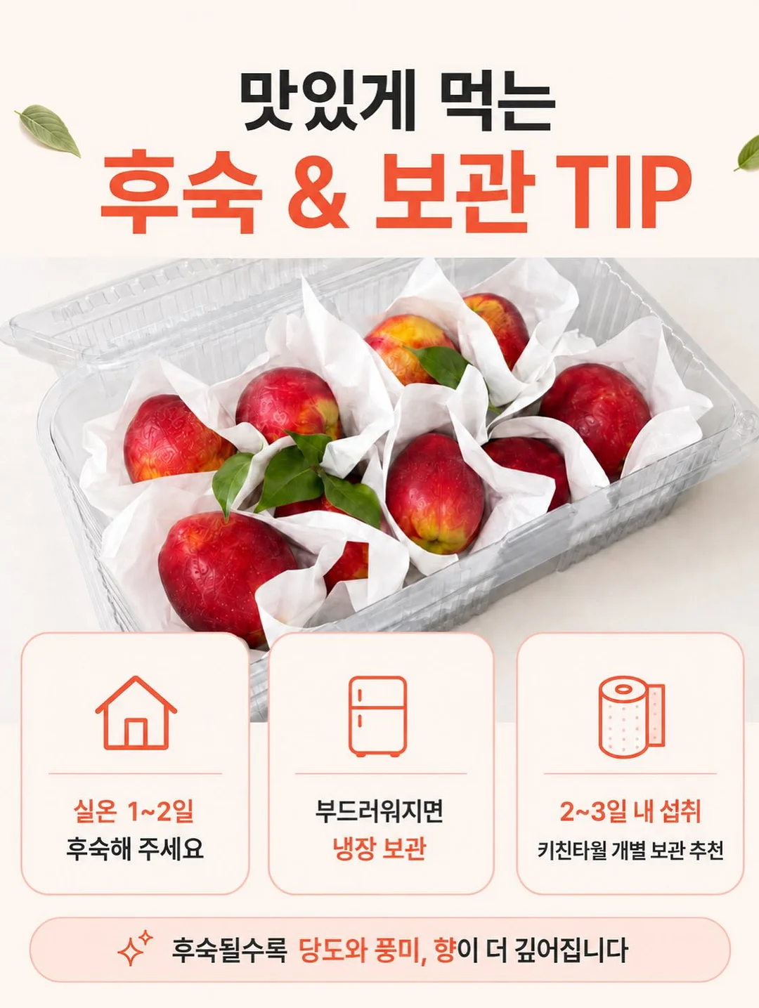 포켓몬 키캡 4