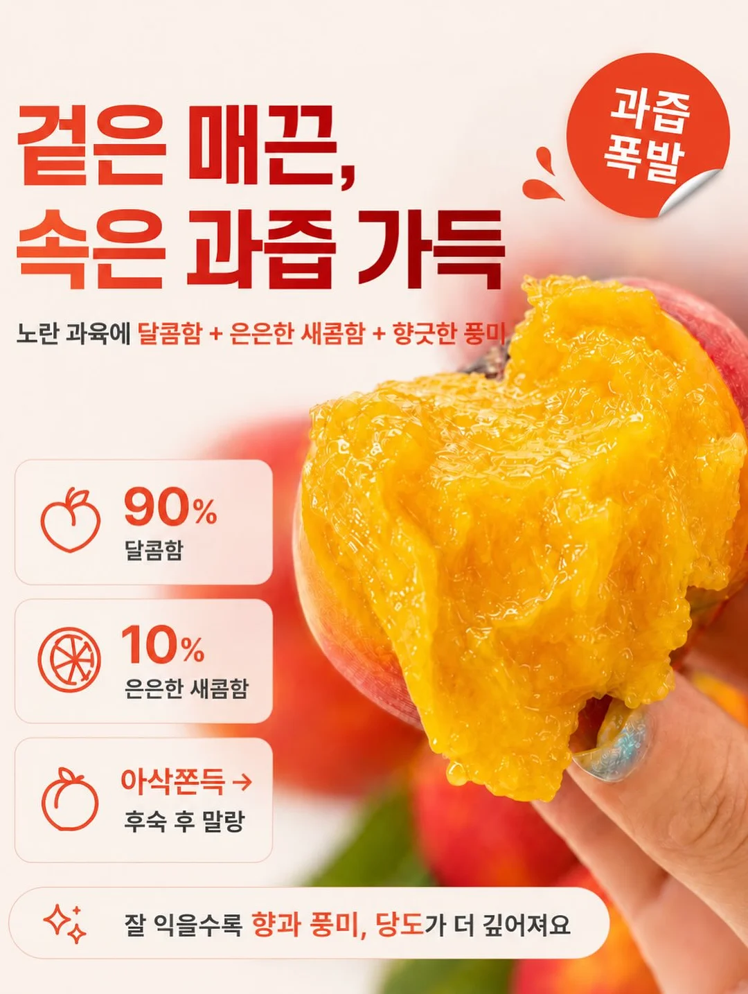 포켓몬 키캡 5