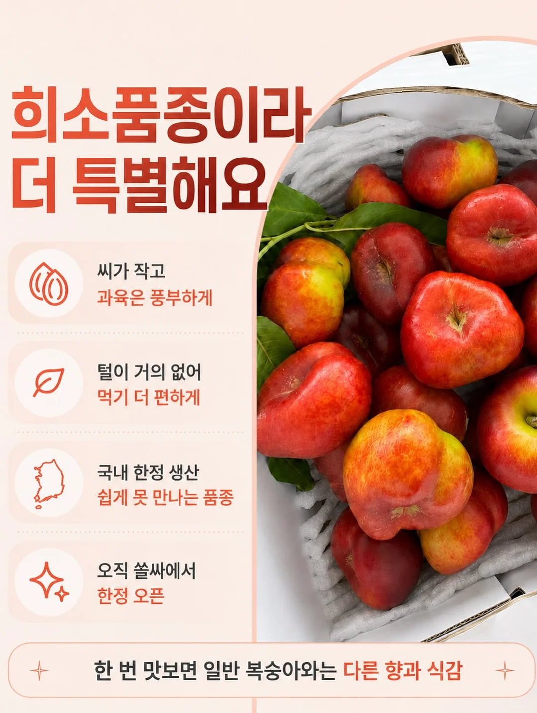 포켓몬 키캡 7