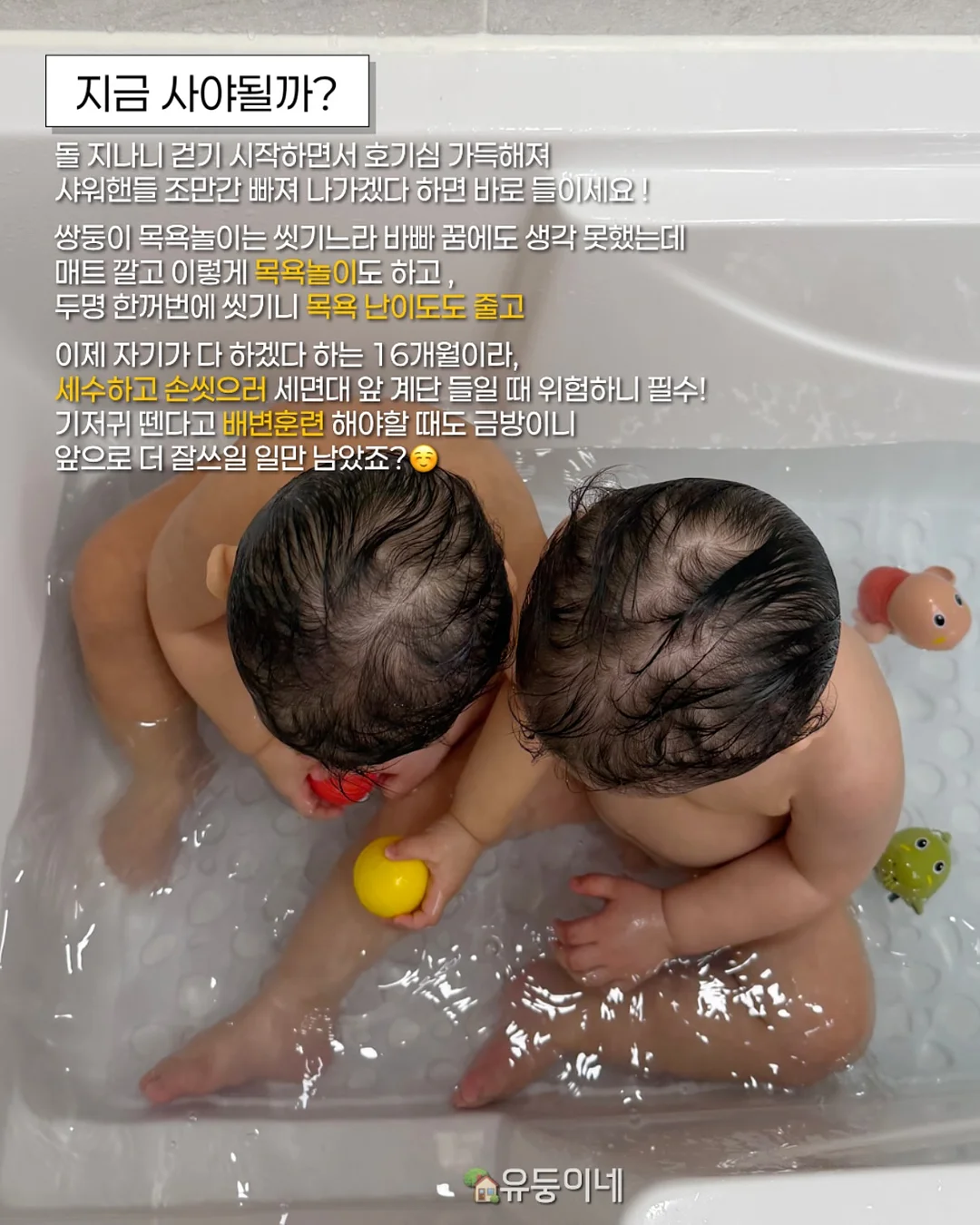 파이브글러브 2026 컬렉션 6