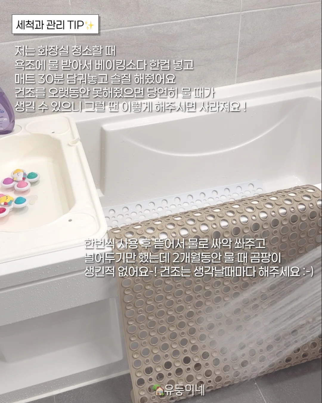 파이브글러브 2026 컬렉션 8
