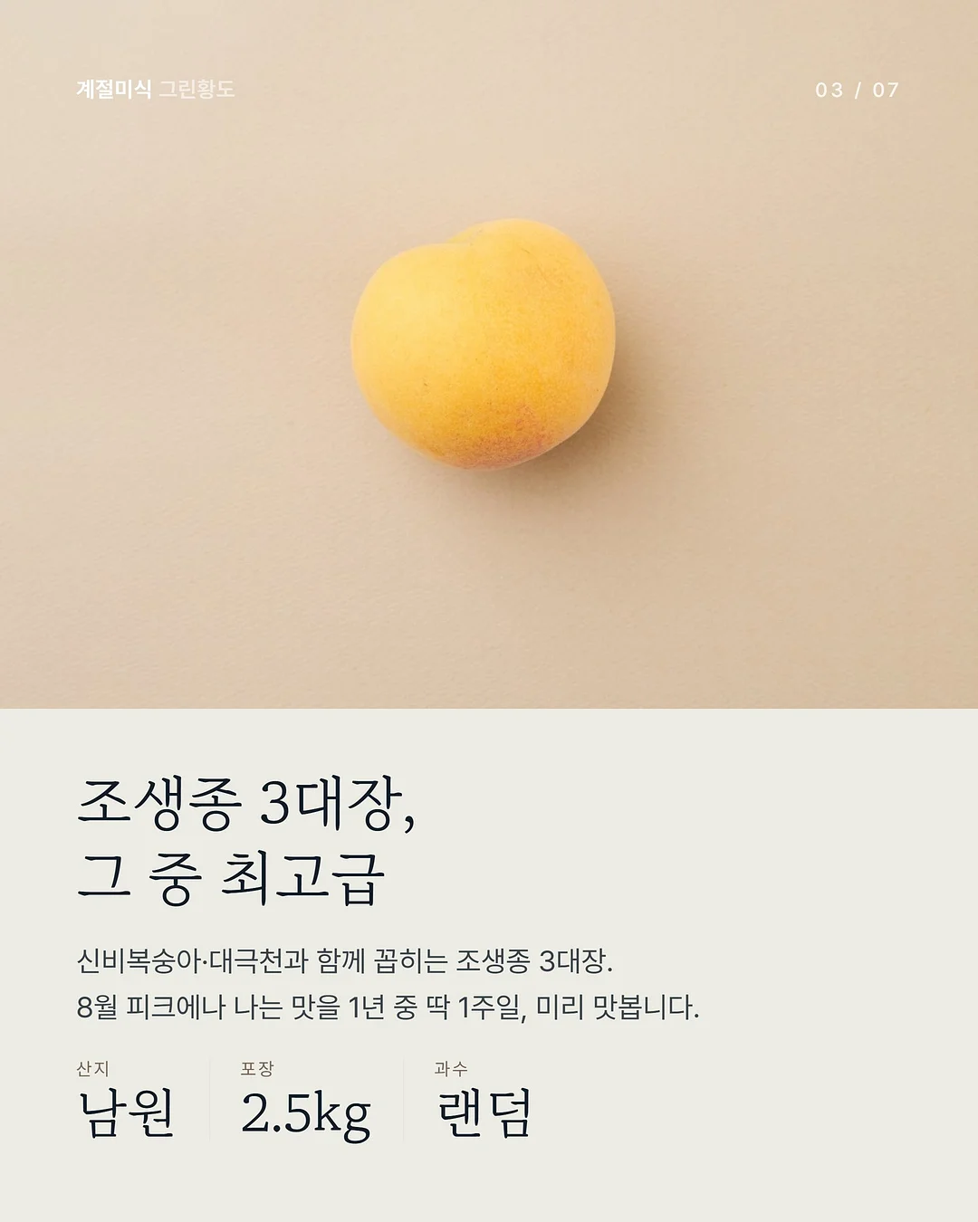 올림푸스 트립 35 딥그린 커스텀 3