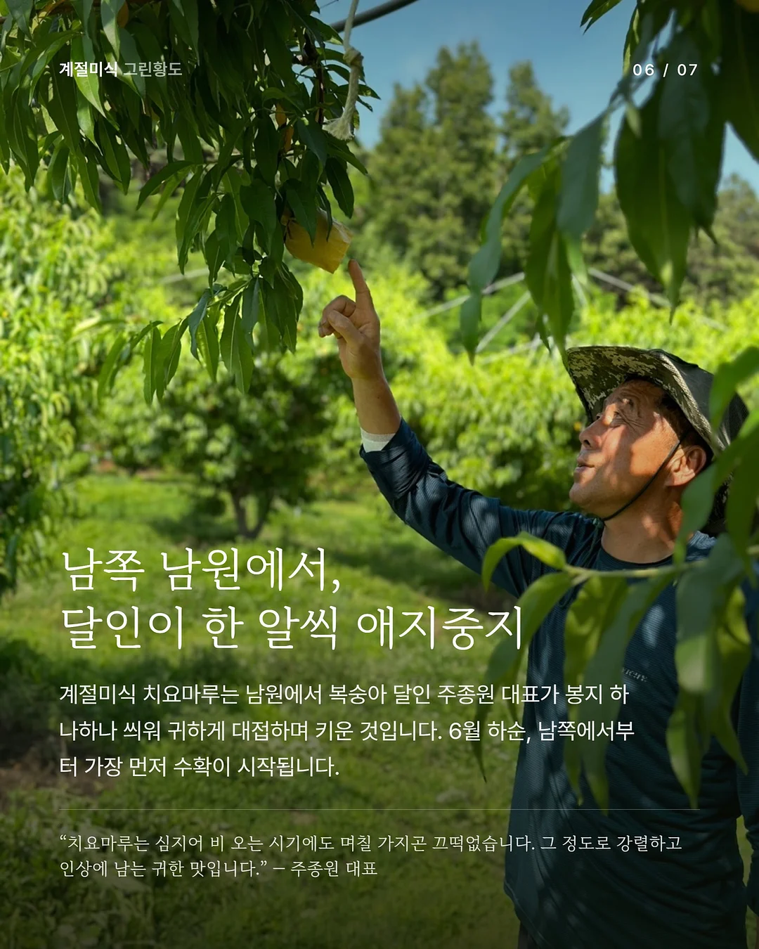 올림푸스 트립 35 딥그린 커스텀 6