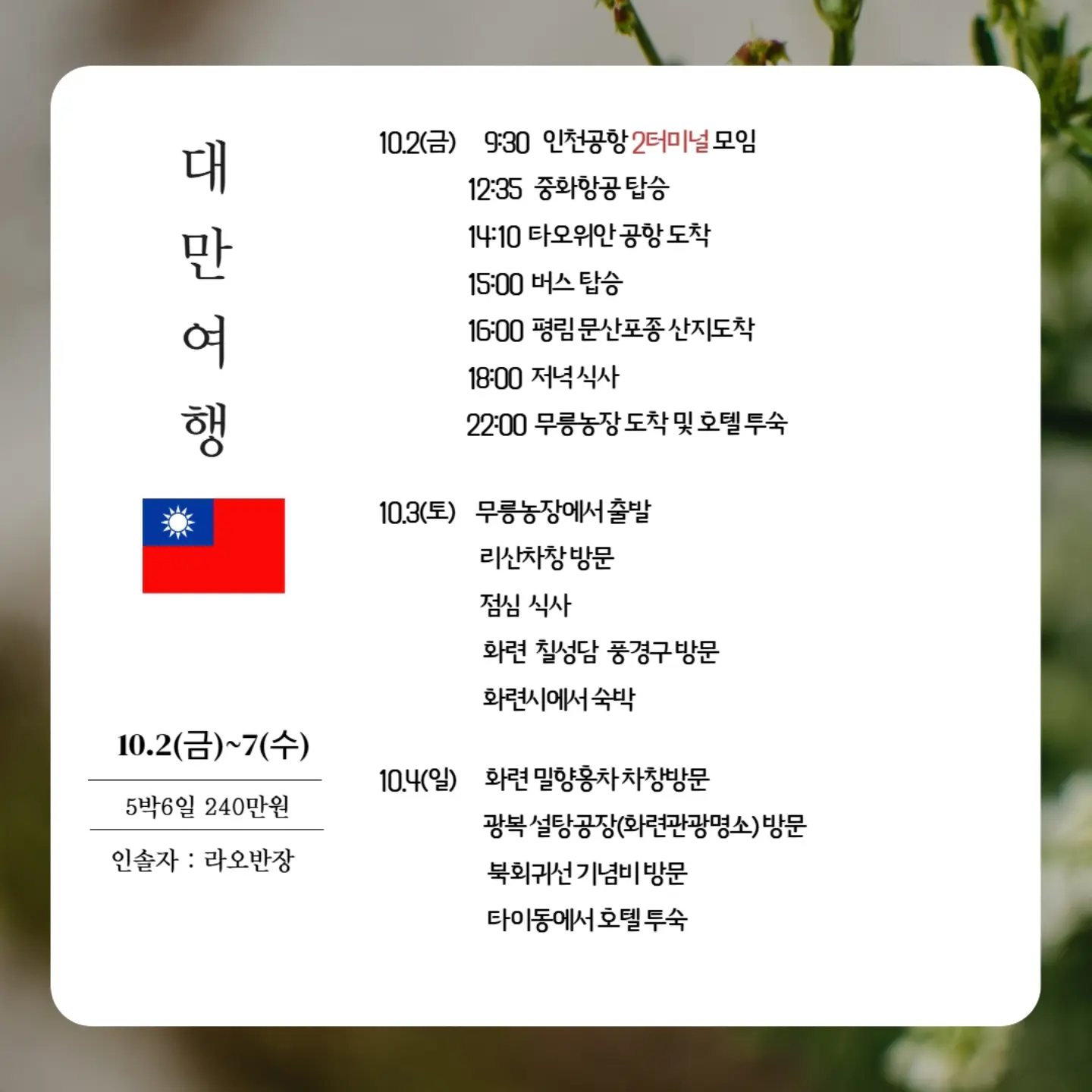 김천 하우스 타이벡 대극천 딱복숭아 2kg 1