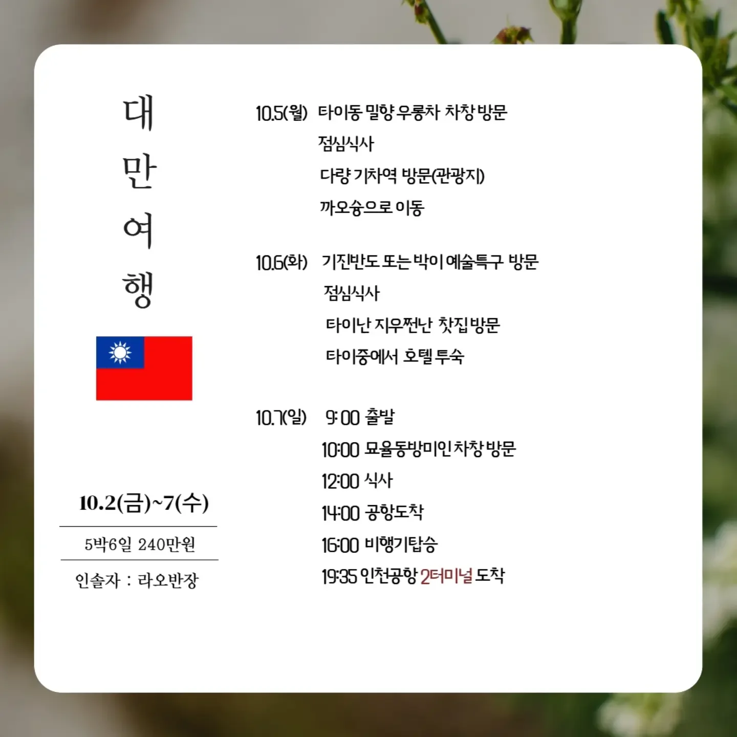 김천 하우스 타이벡 대극천 딱복숭아 2kg 2