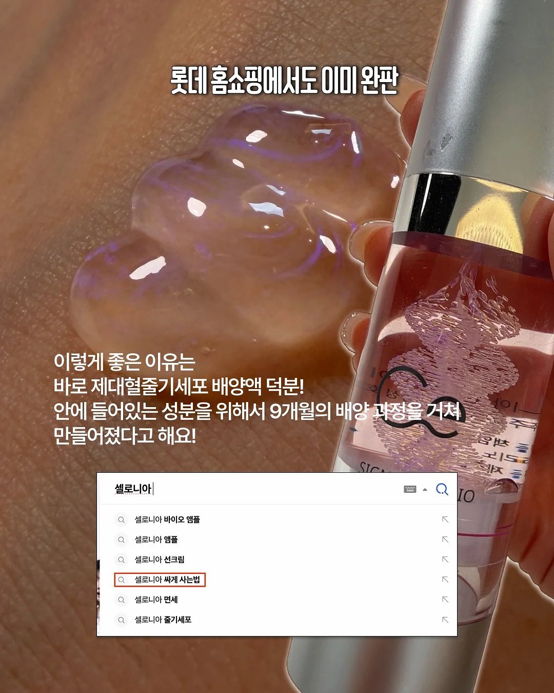 26년 소띠 총 운세 6