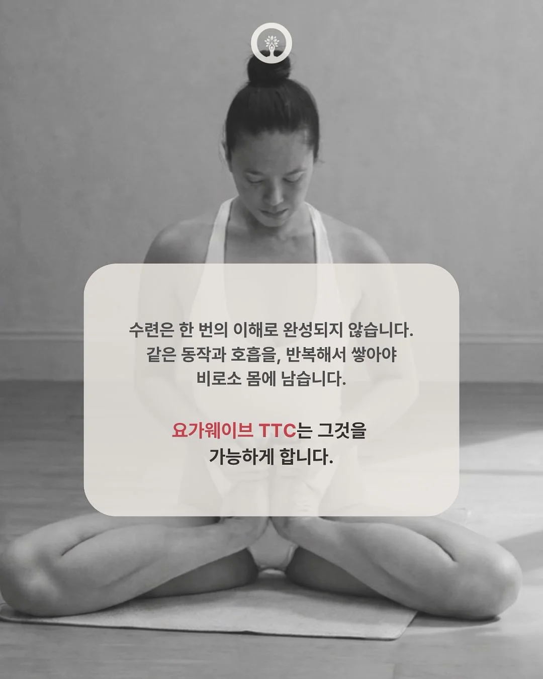 메노킨 미니버블팩 6종 디스커버리 세트 5