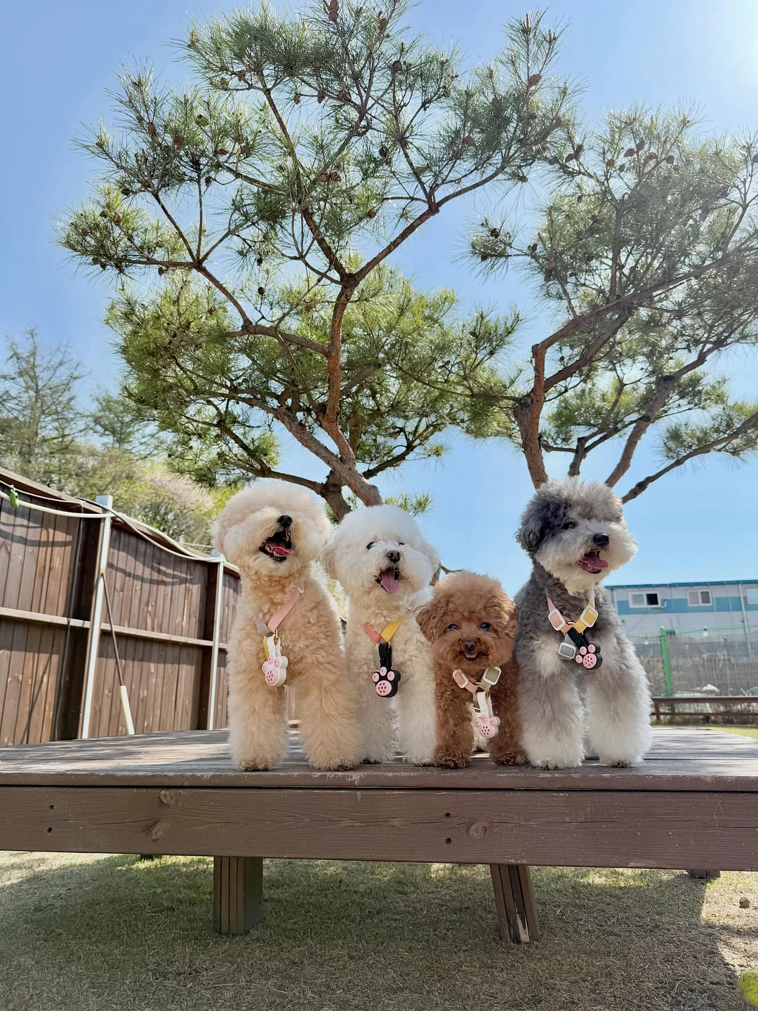 에겐룩 스커트 1