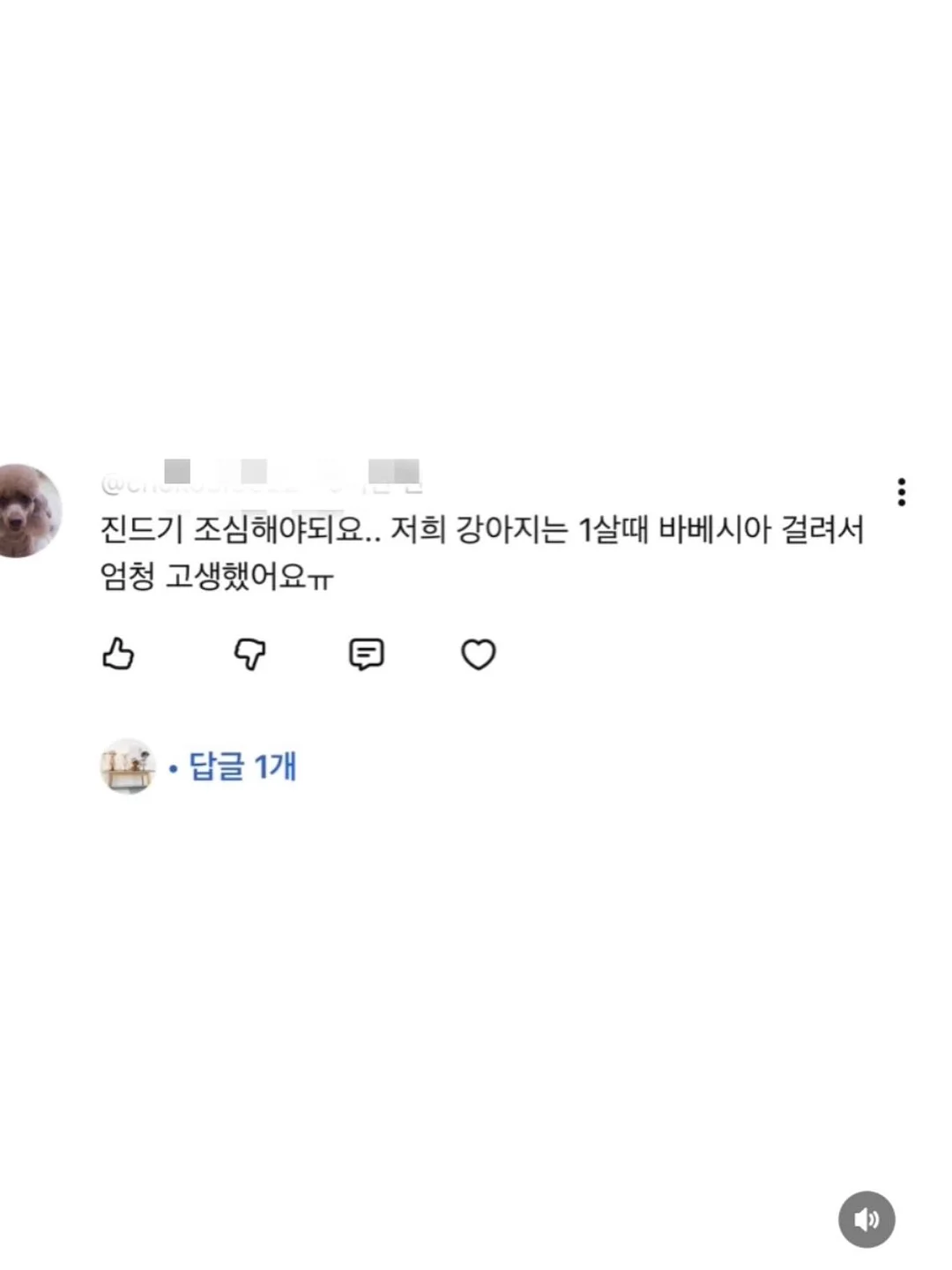 에겐룩 스커트 11