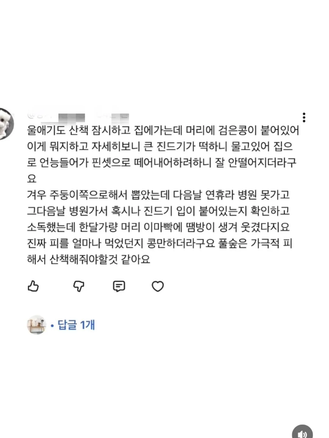 에겐룩 스커트 12
