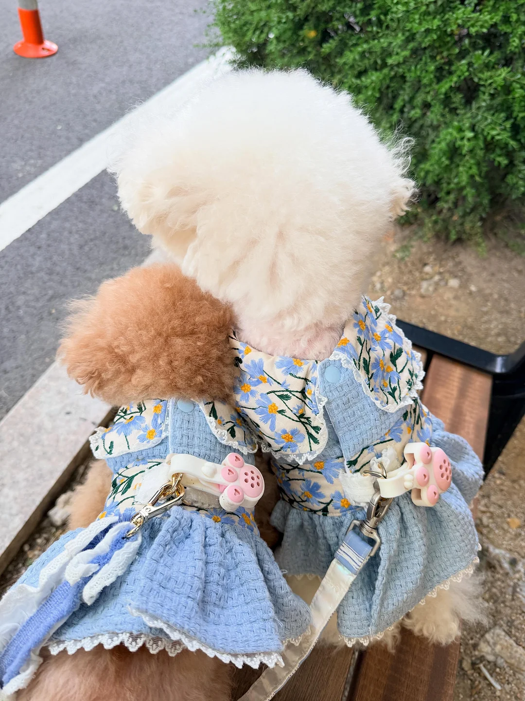 에겐룩 스커트 15