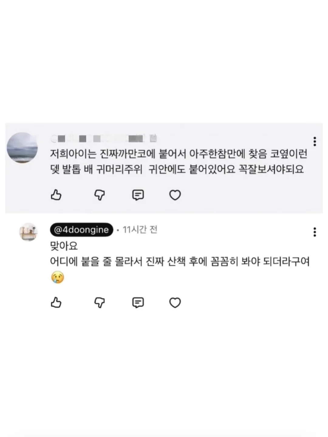 에겐룩 스커트 8