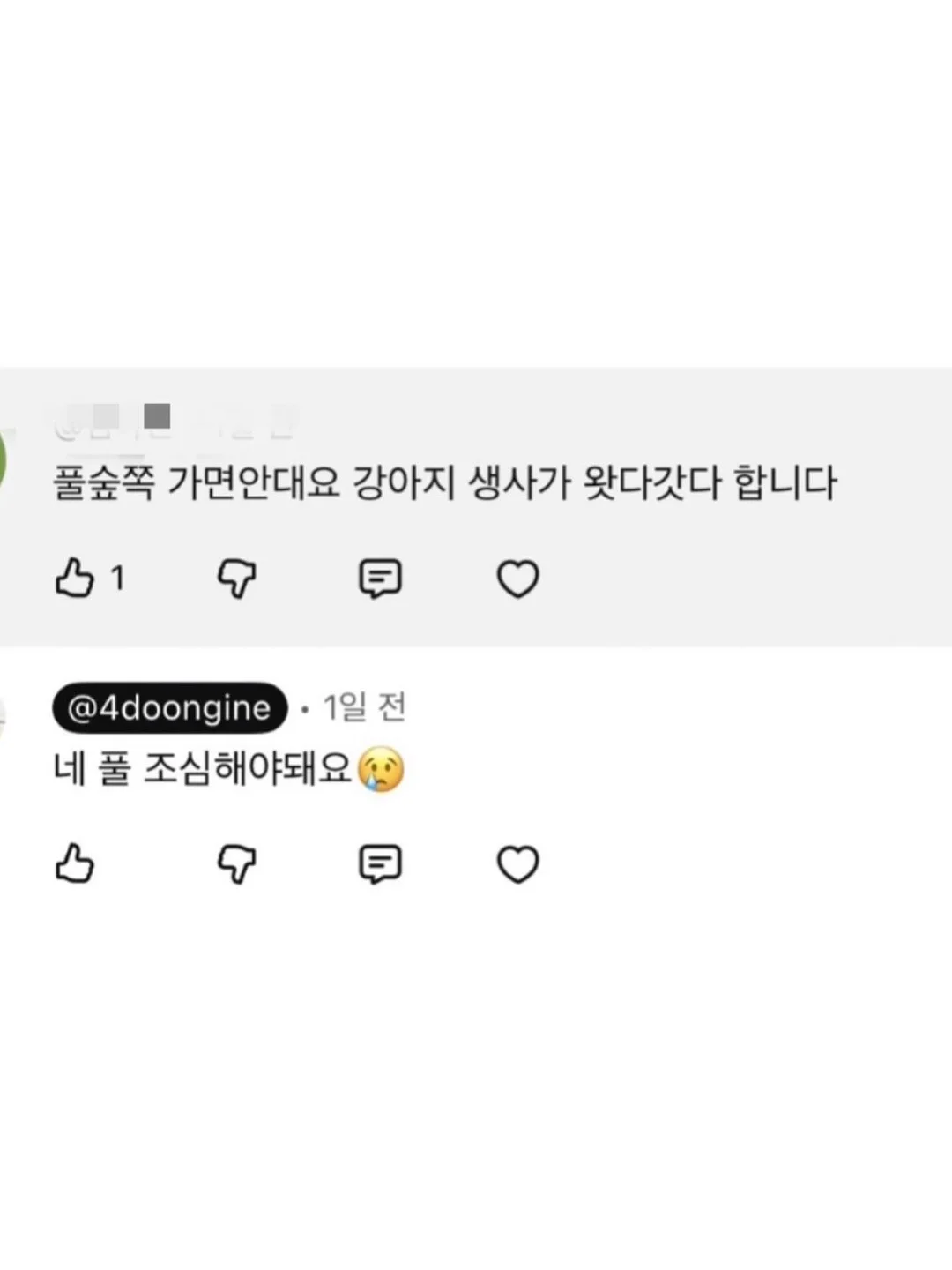 에겐룩 스커트 9