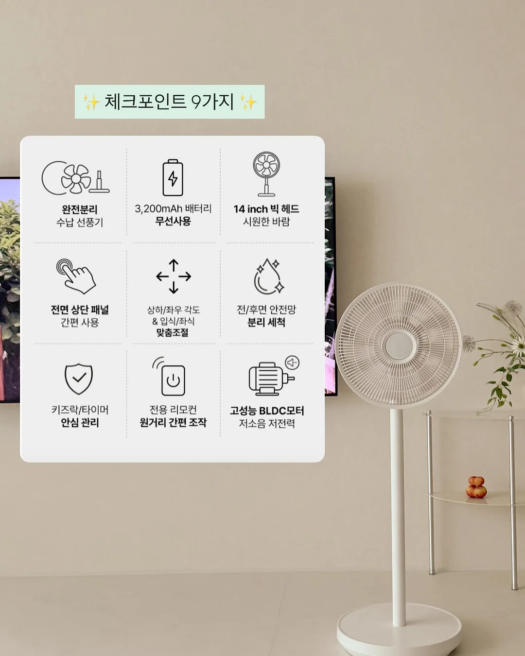 금실 왕 딸기모찌 2