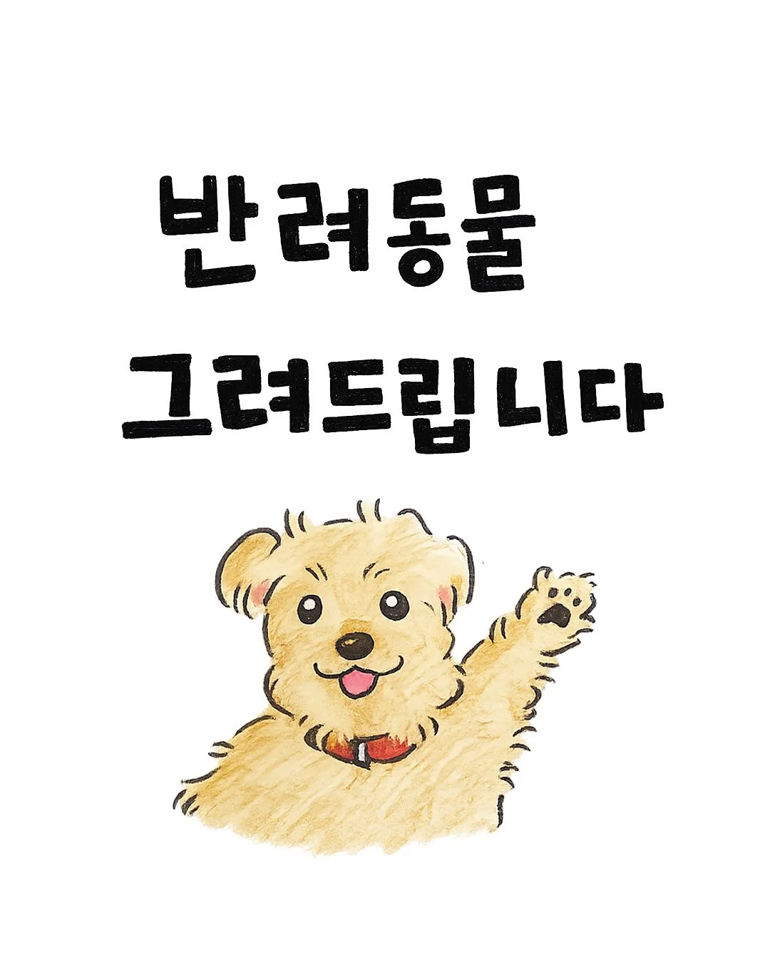 생화케이크