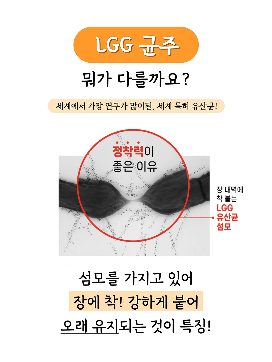 더좋은 마그네시움 7