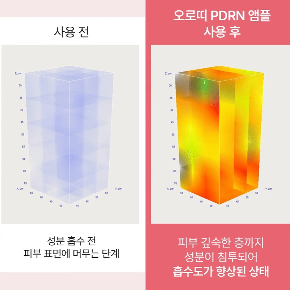 감홍사과 4