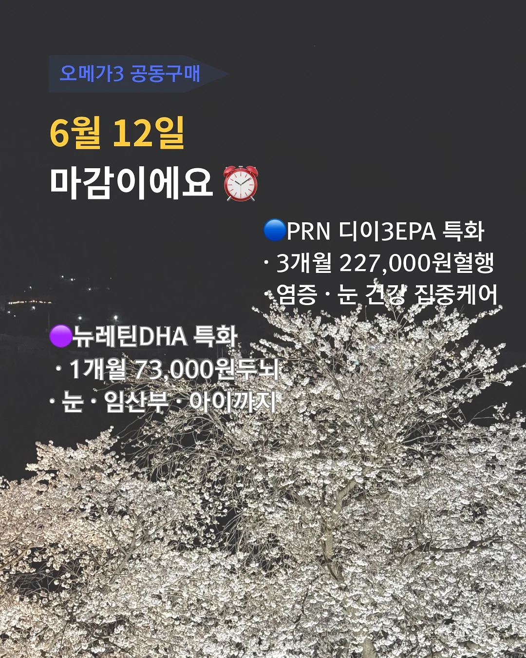 폴로 코맥 플리츠 쇼츠 7