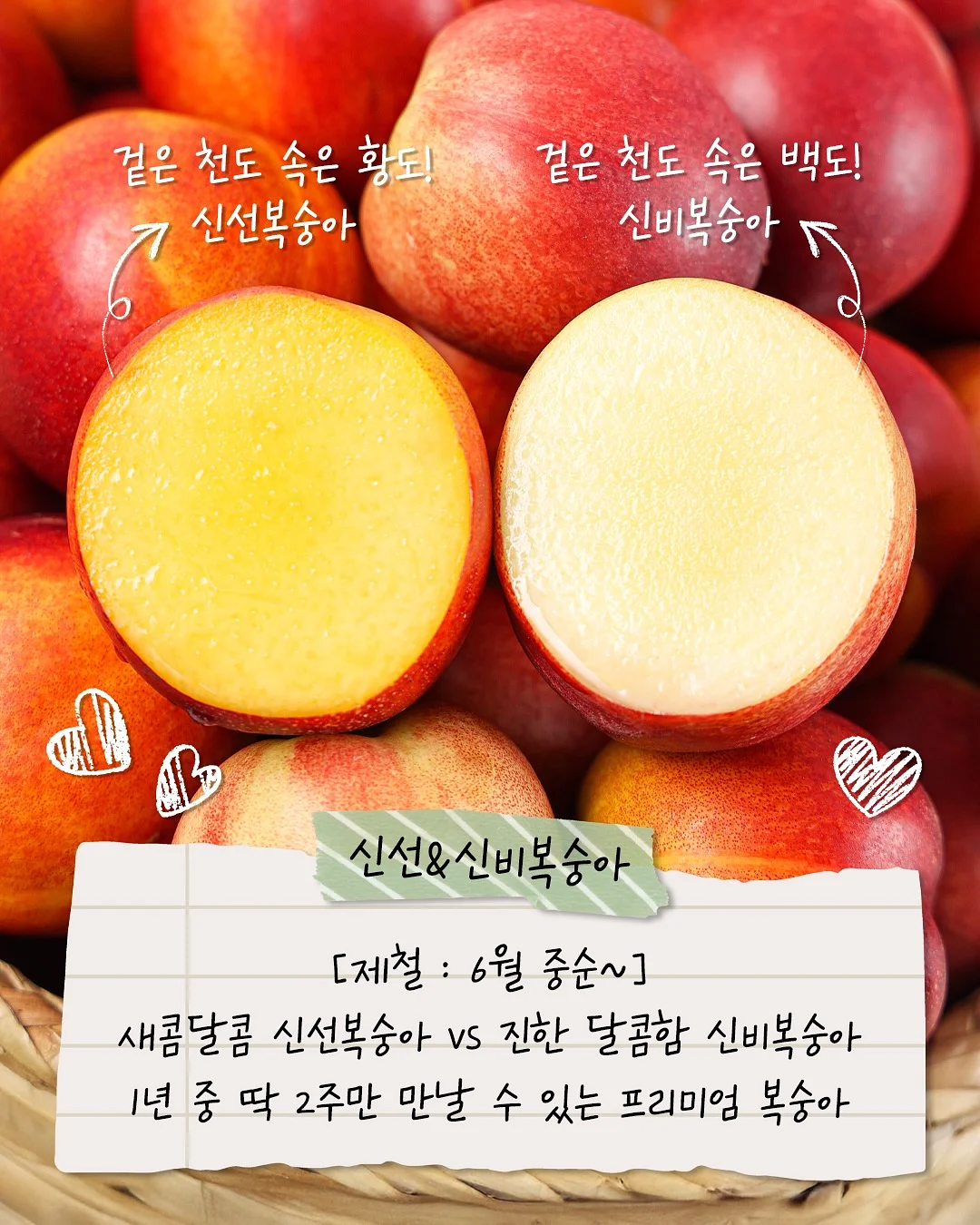7살 첫 국어 2
