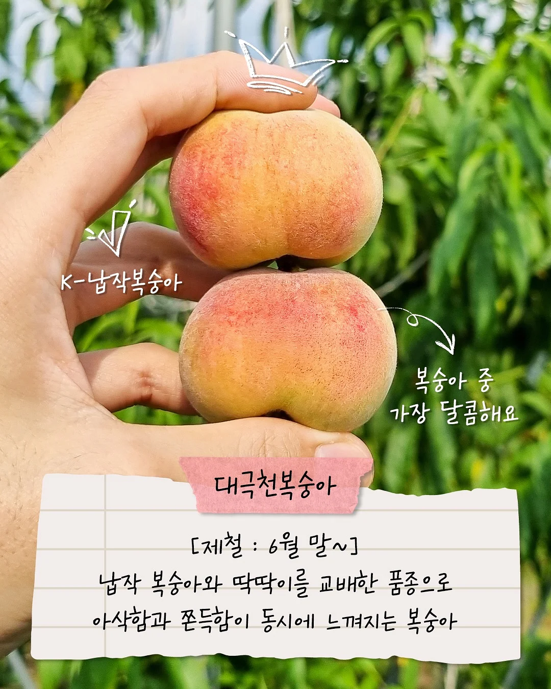 7살 첫 국어 3