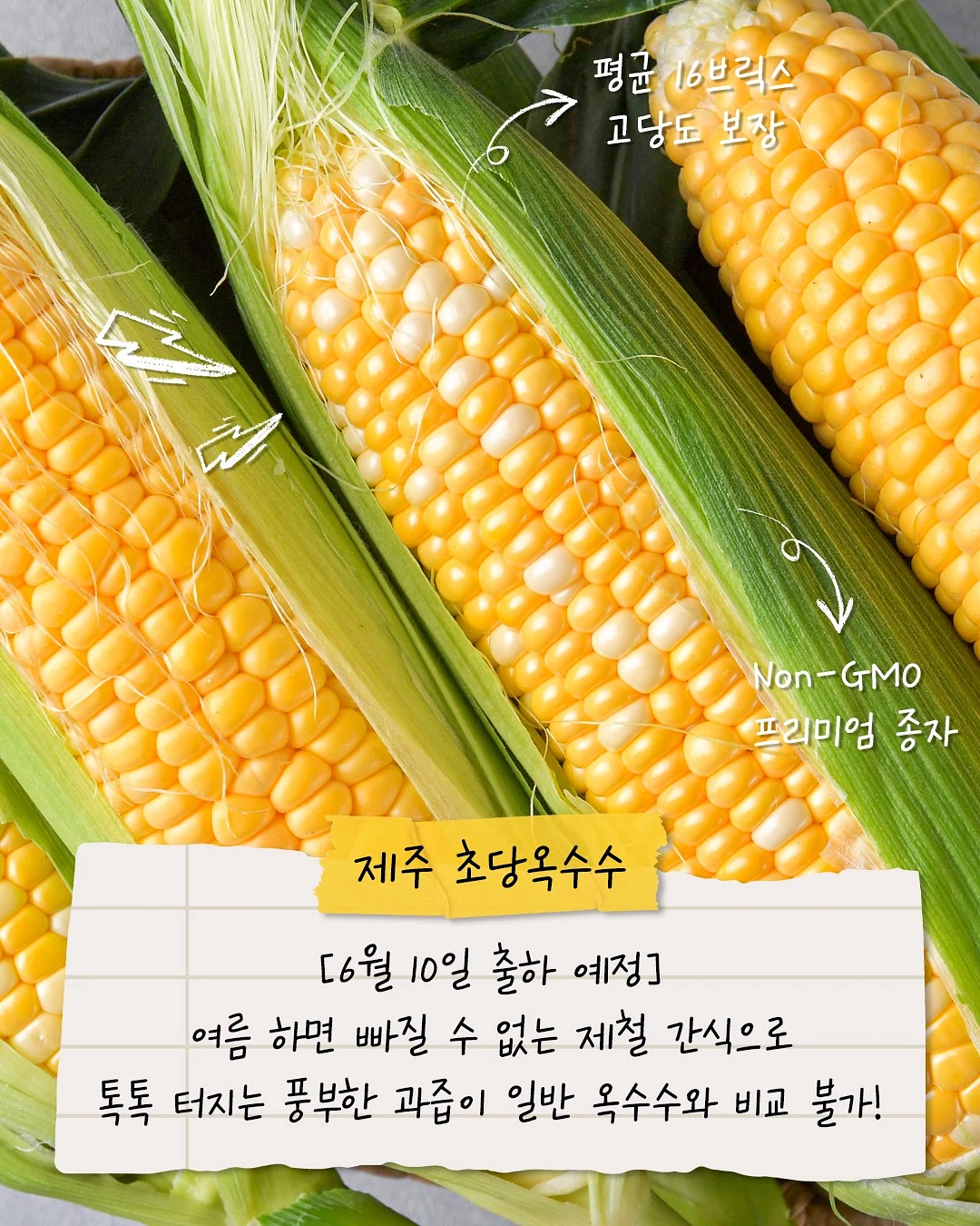7살 첫 국어 5