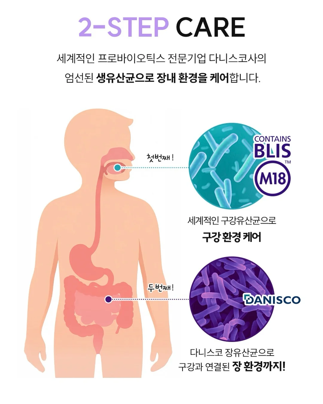 두부치즈케이크 14