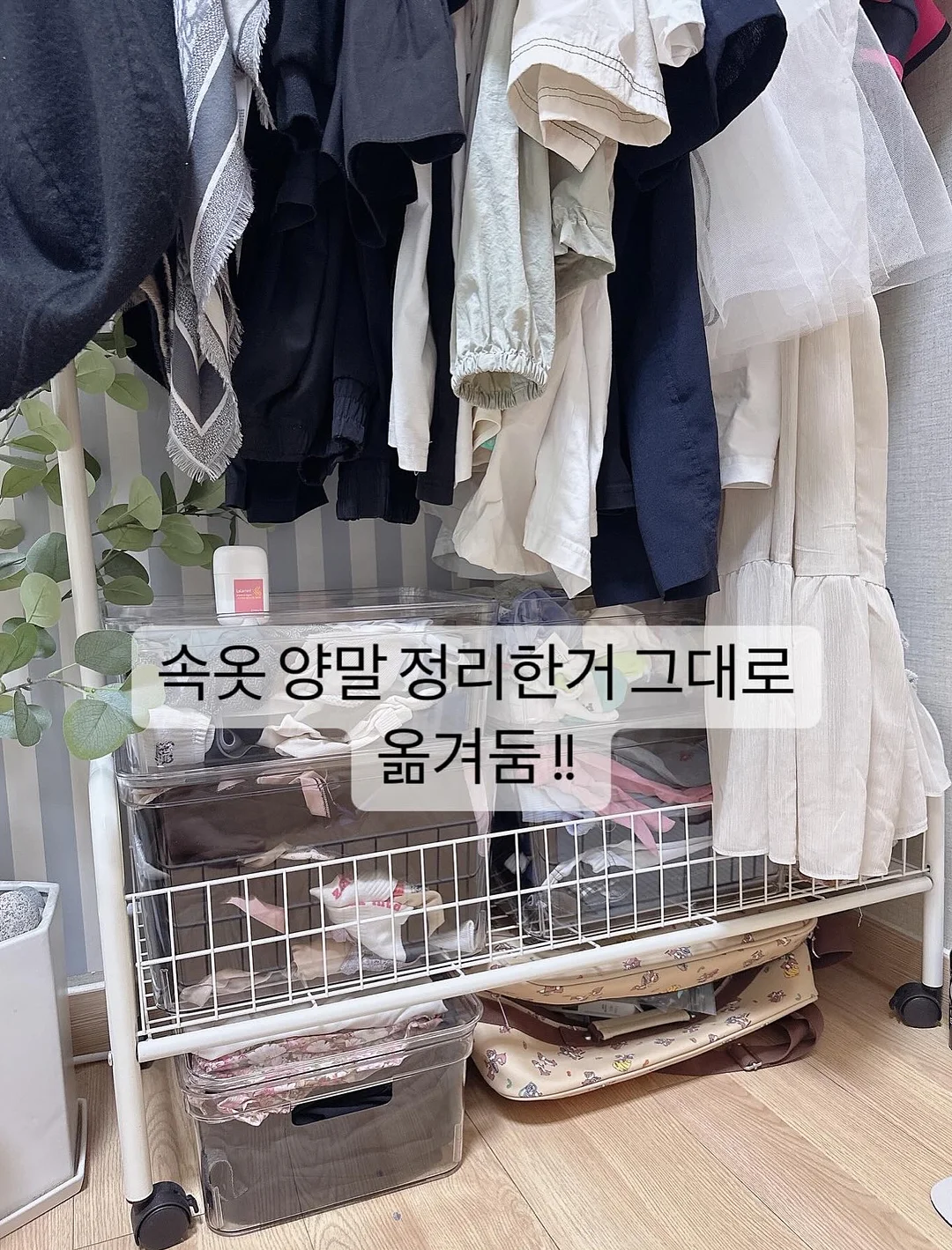 워터캐리어 물통 3
