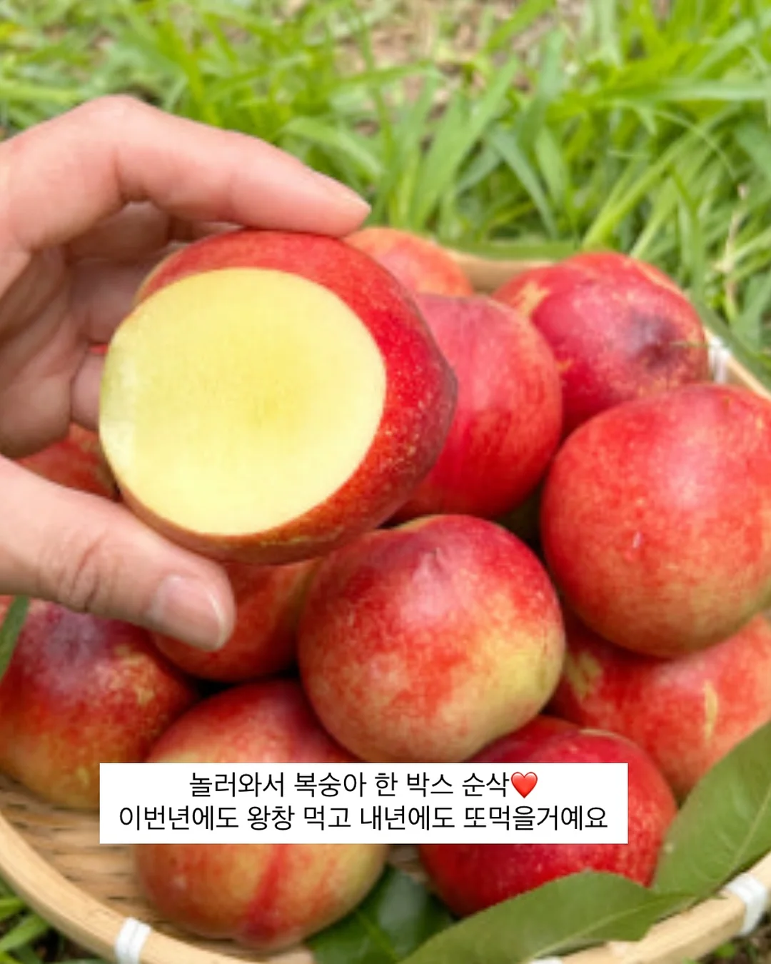 색동 3단 보자기 오브제 14