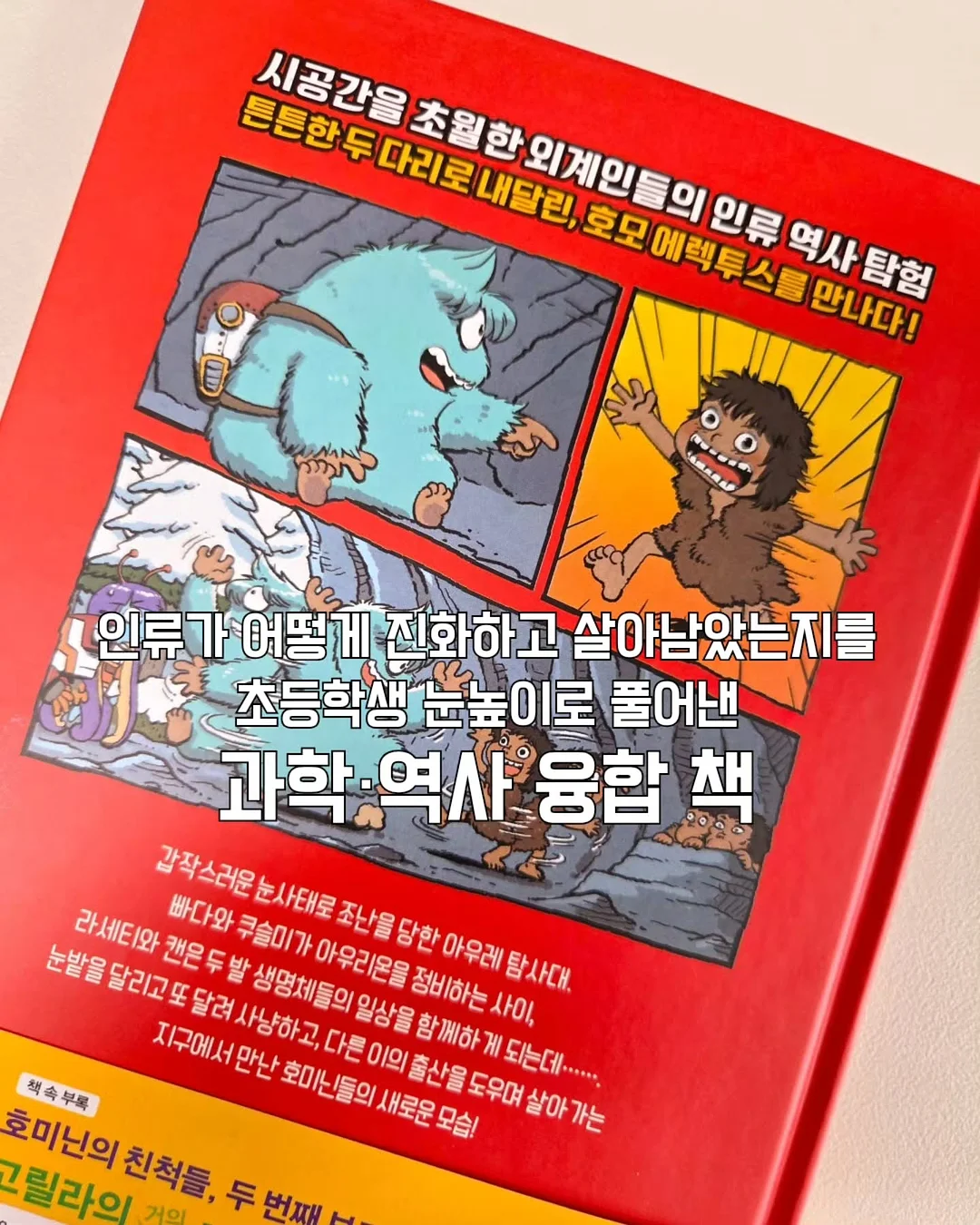 8곡물 미숫가루 12