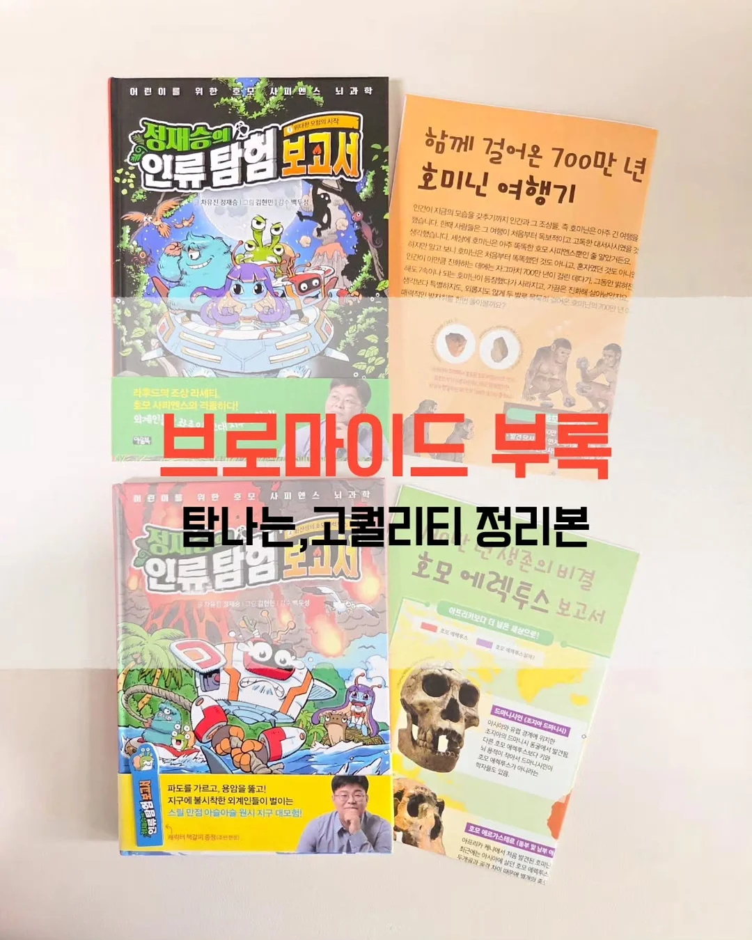 8곡물 미숫가루 13