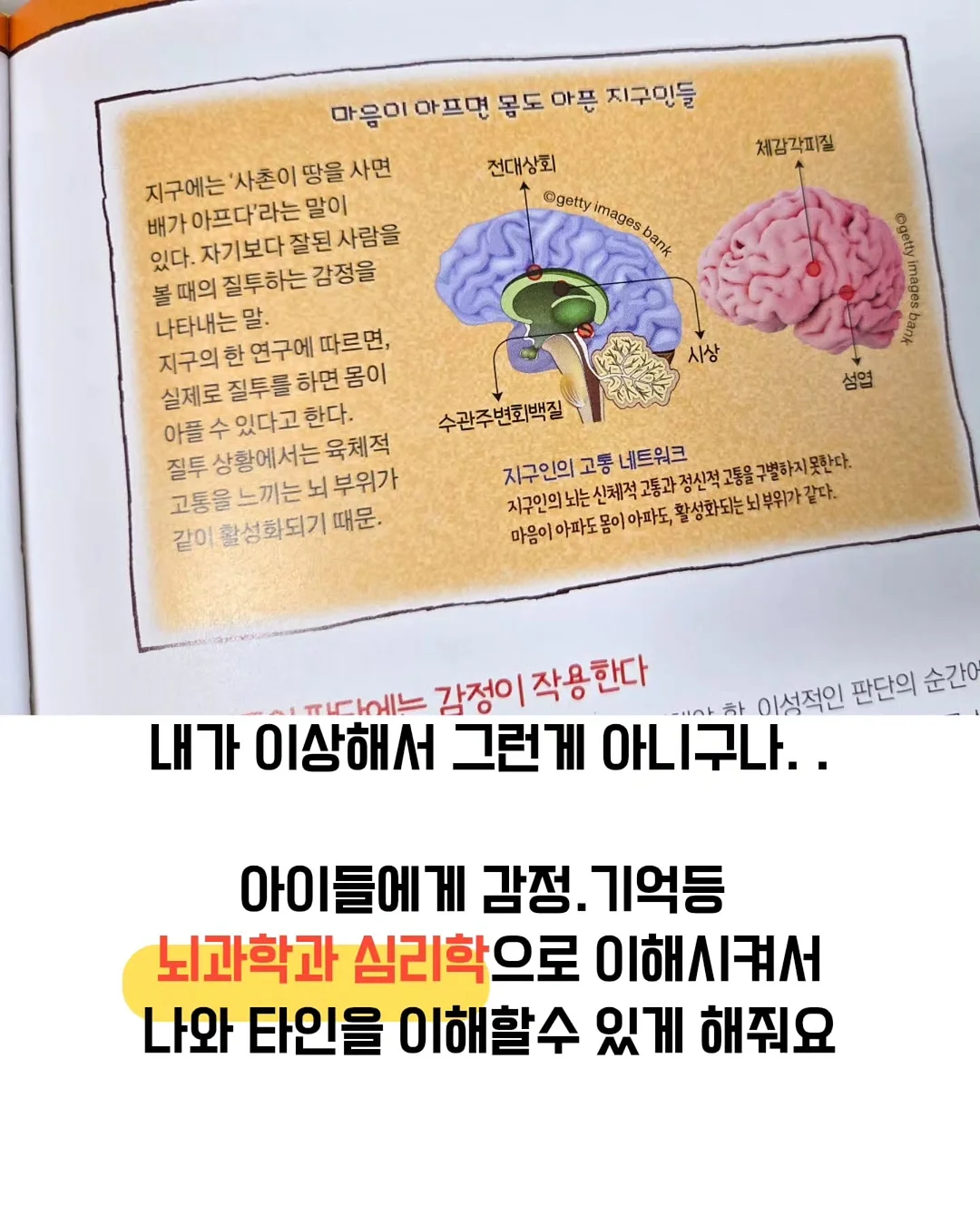 8곡물 미숫가루 6
