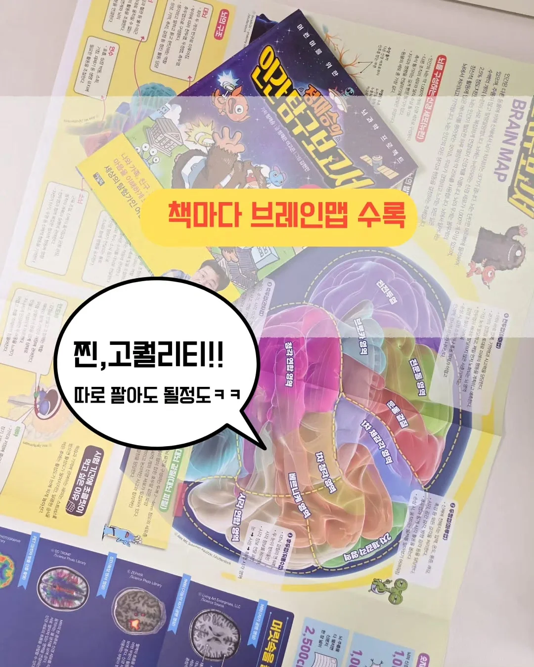8곡물 미숫가루 8