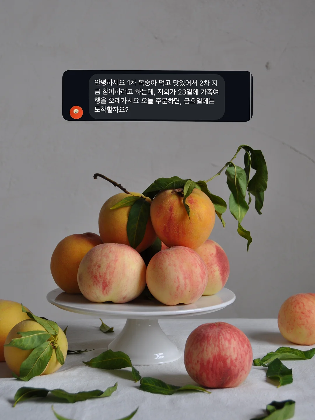 접이식 스펀지 대걸레 10