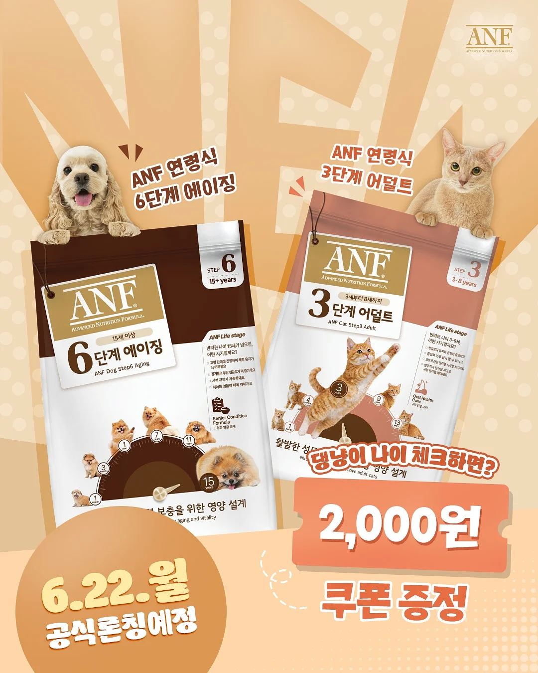 미니쌀도넛 수업 1