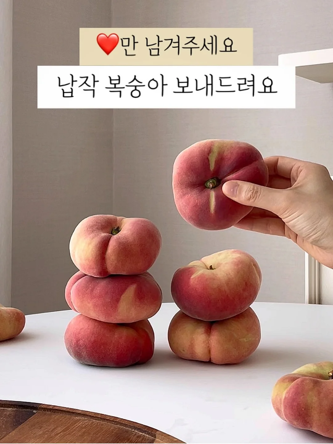 누들셔츠 1