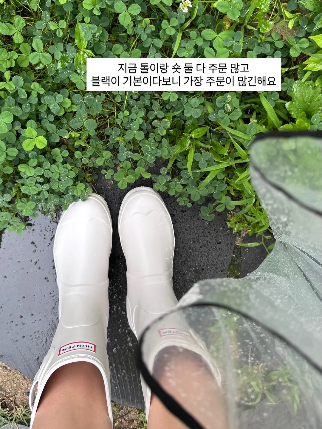 슈퍼세이브 곰보배추시럽 4