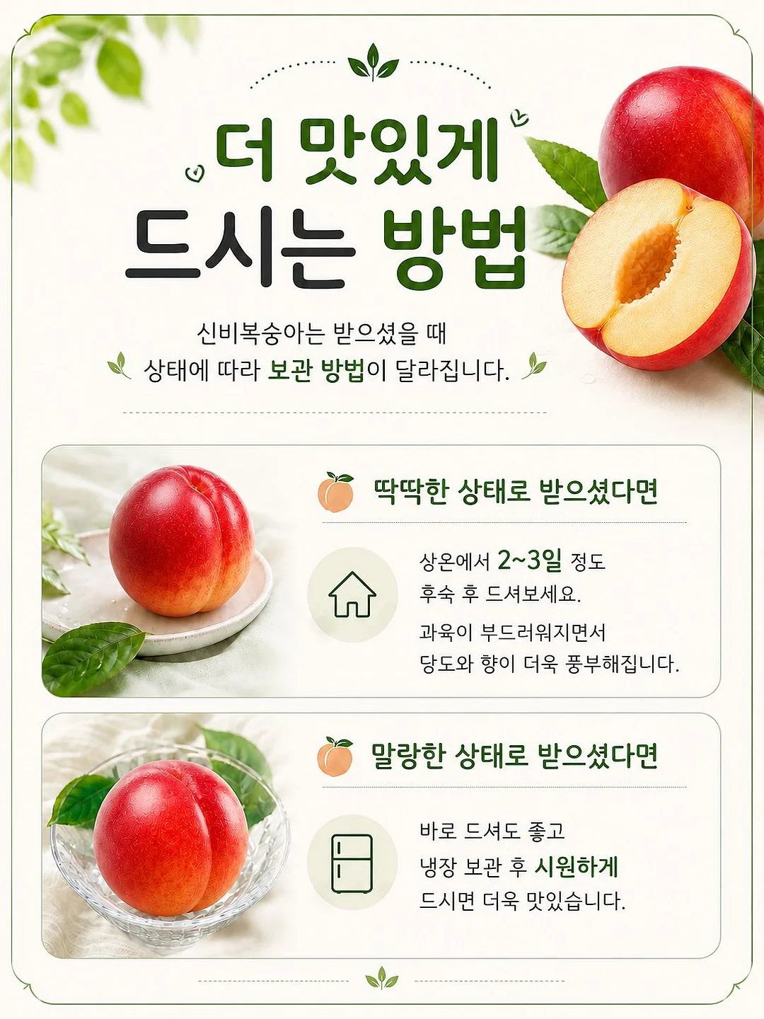 황도 13