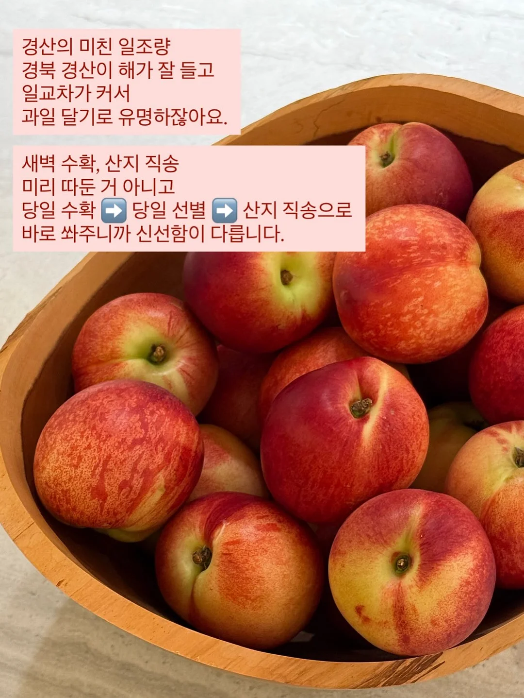 황도 5