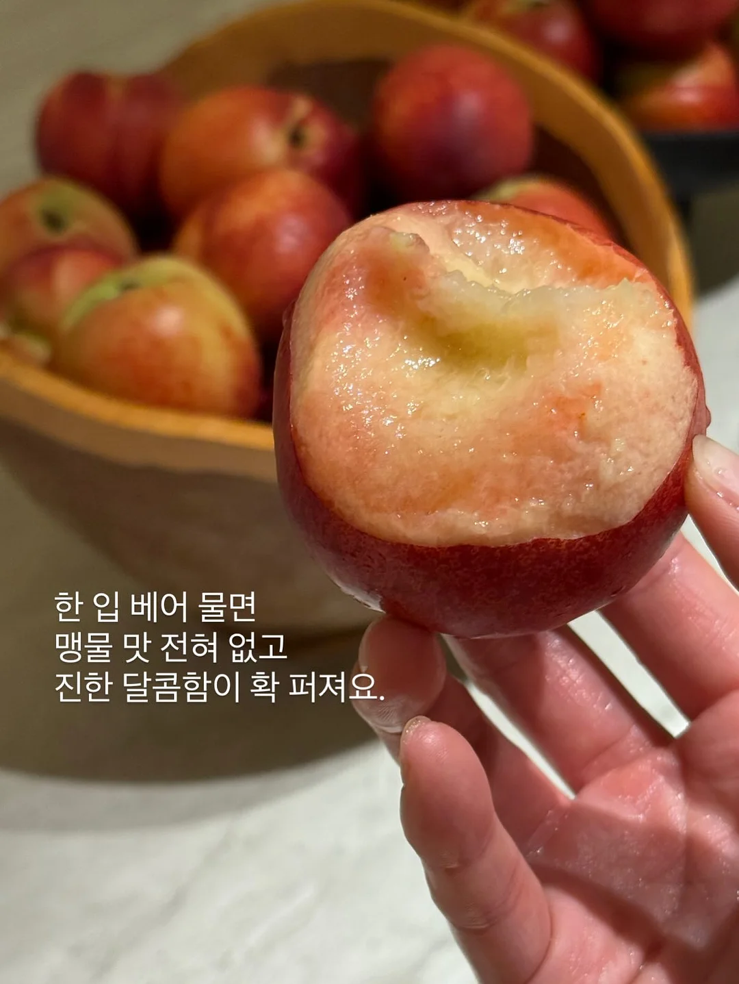 황도 6