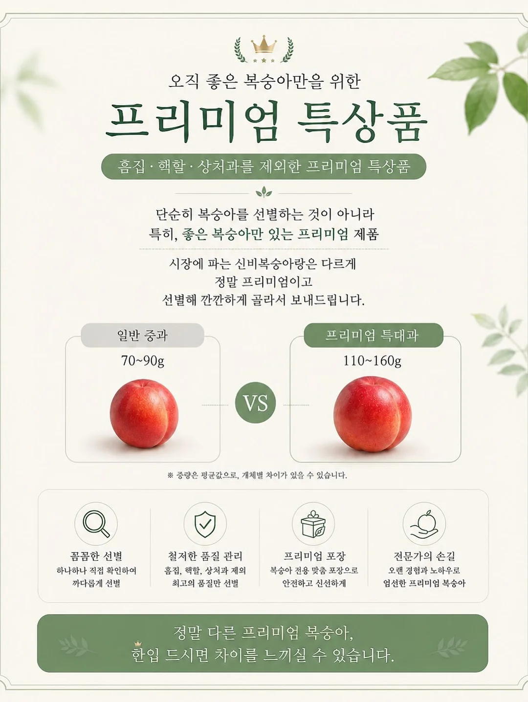 황도 10