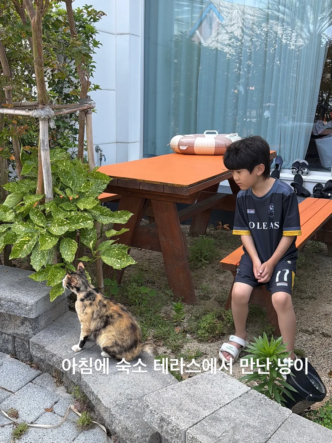 지난 시즌 아이템 15