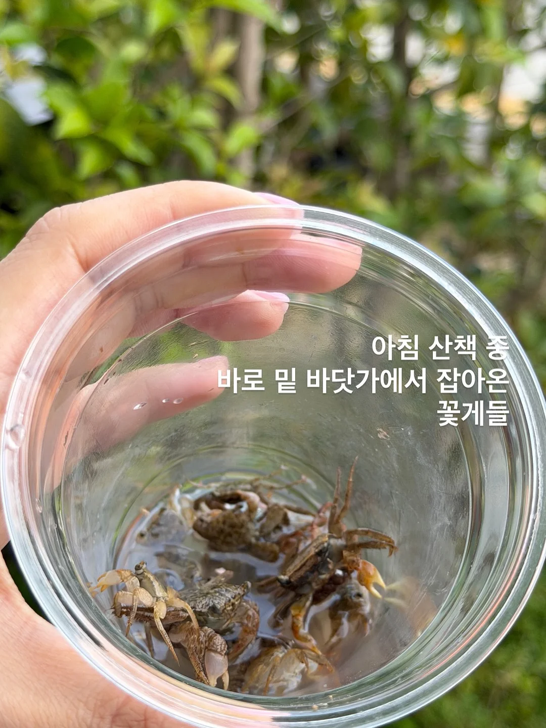 지난 시즌 아이템 16