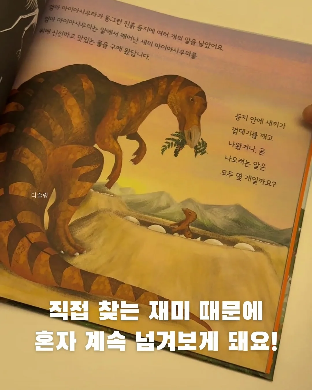 기본티 5