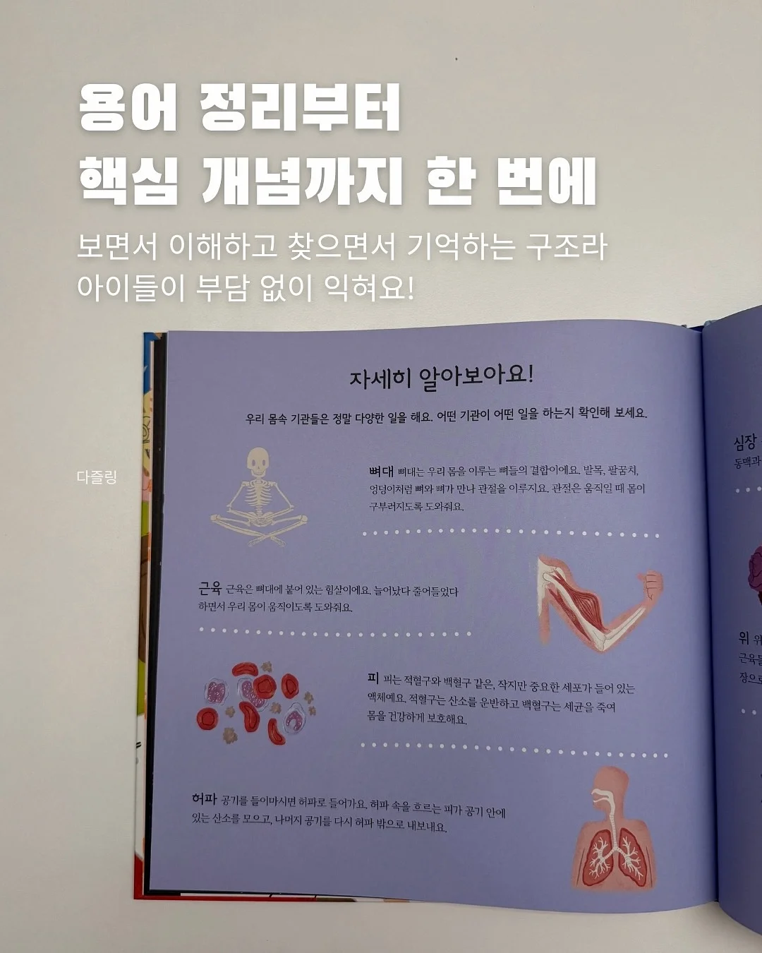 기본티 6
