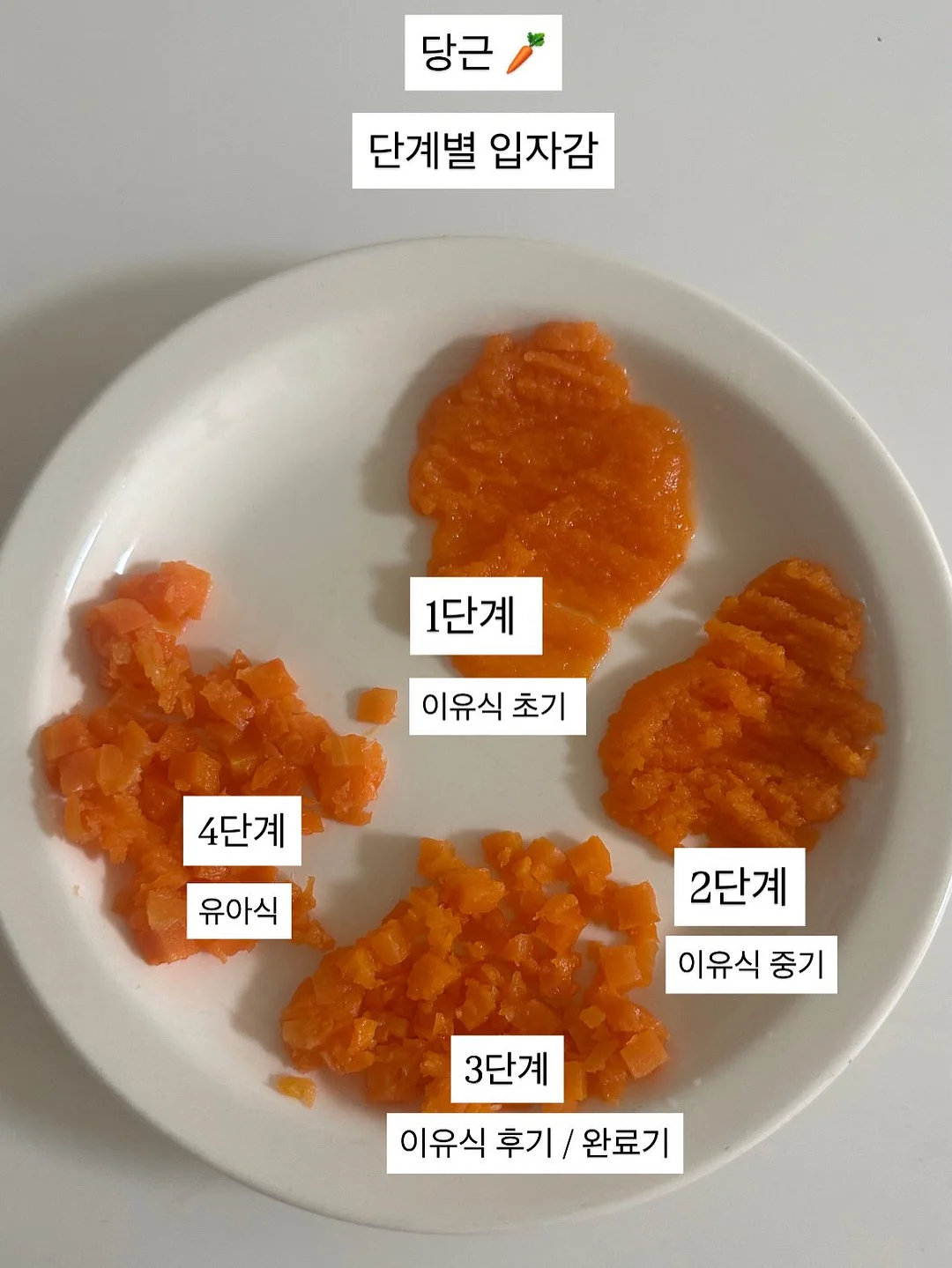 클리어잭 아기 수전 5