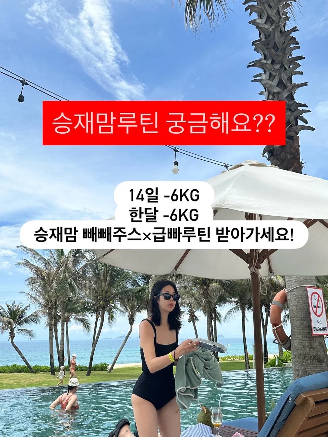 베지스타터 1
