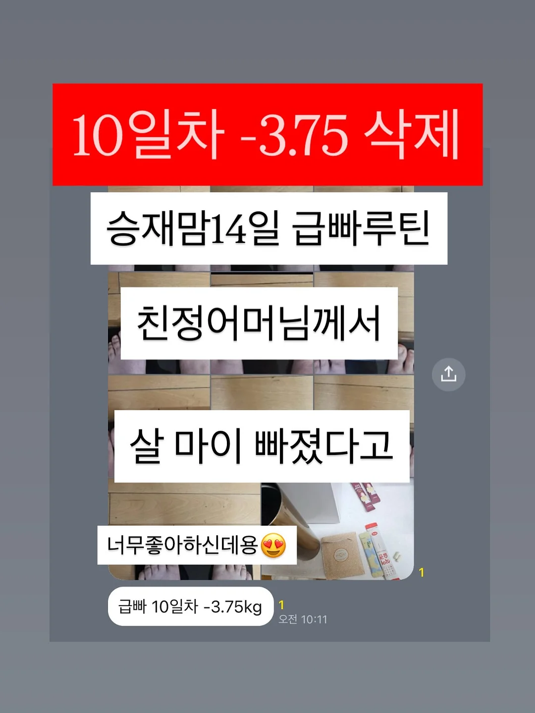 베지스타터 5