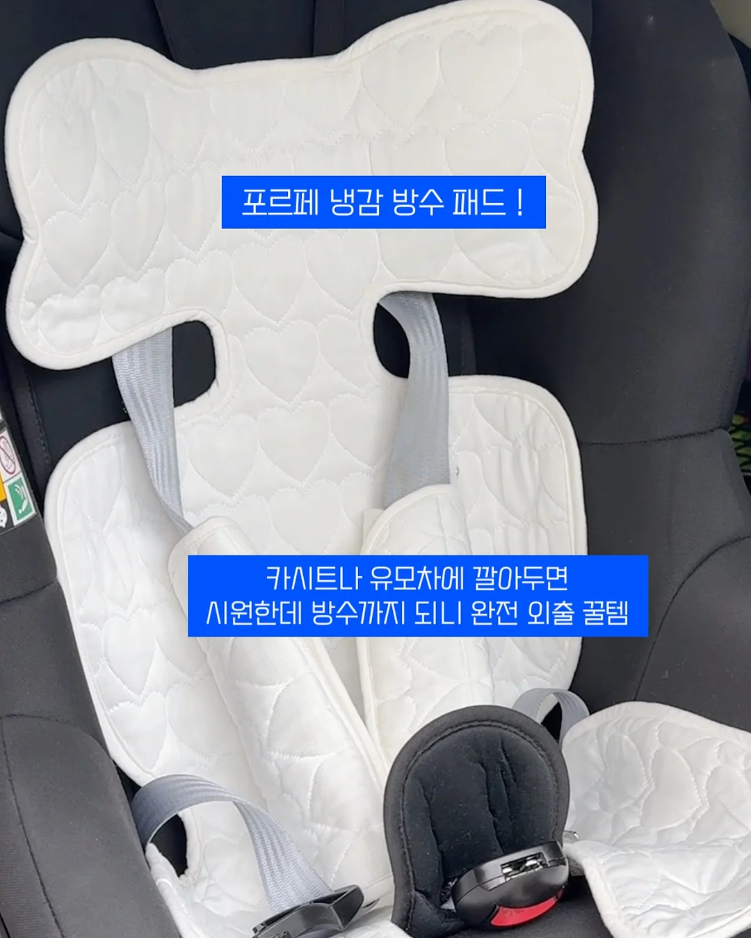 선진포크한돈 더 두툼한 명품 삼겹살 7