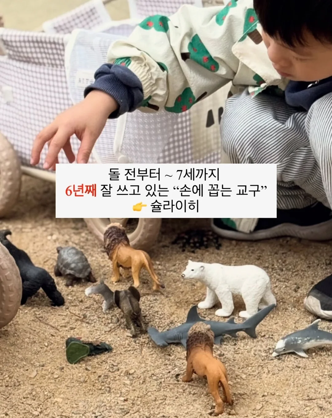 키위티 바나나 1